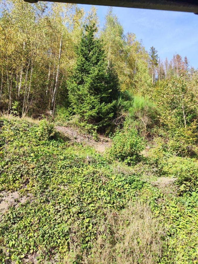 Wohlfuehloase Eifelsteig Villa Simmerath Buitenkant foto
