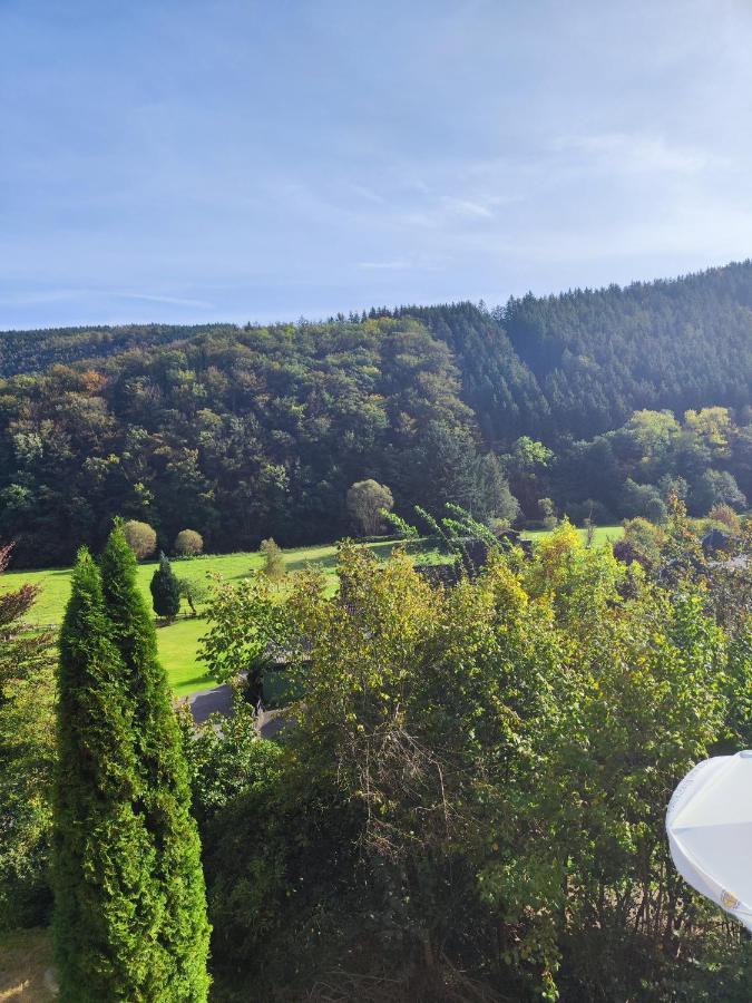 Wohlfuehloase Eifelsteig Villa Simmerath Buitenkant foto