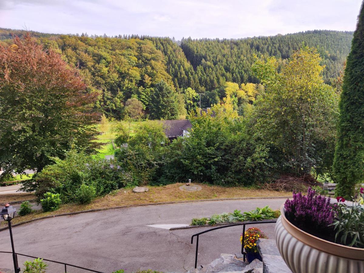 Wohlfuehloase Eifelsteig Villa Simmerath Buitenkant foto