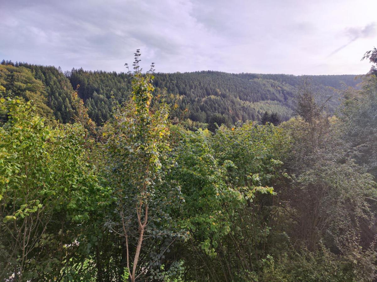 Wohlfuehloase Eifelsteig Villa Simmerath Buitenkant foto